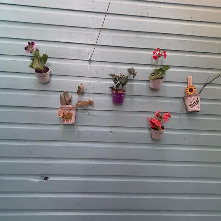 Cabanas La Chasconita กอนสตีตูซีออน ภายนอก รูปภาพ